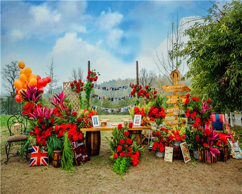 成都婚禮酒店預訂