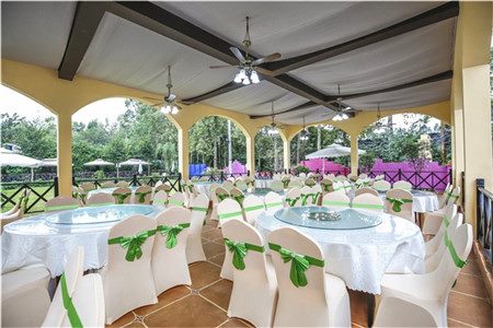 三圣鄉(xiāng)寶寶宴 三圣鄉(xiāng)寶寶宴